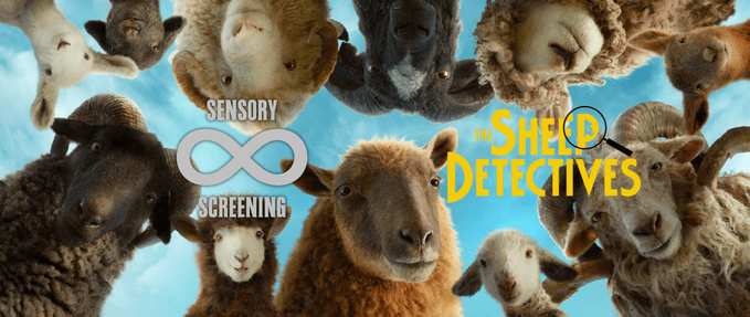  Sensory Screening - The Sheep Detectives